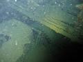 Thistlegorm (55)